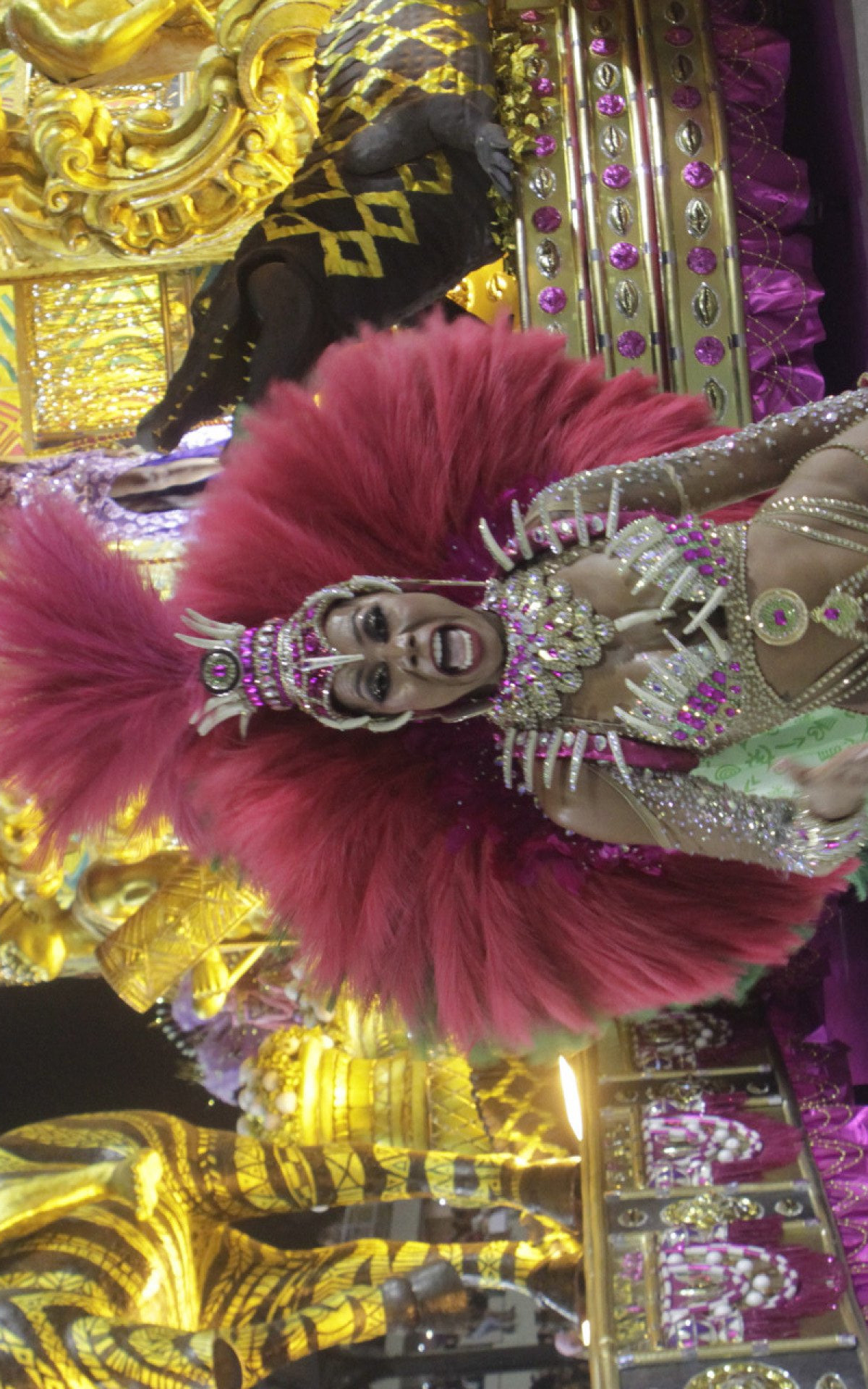 G.R.E.S Mangueira desfila nesta primeira noite de desfile do Grupo Especial, neste domingo(19). Foto: Marcos Porto / Agencia O Dia