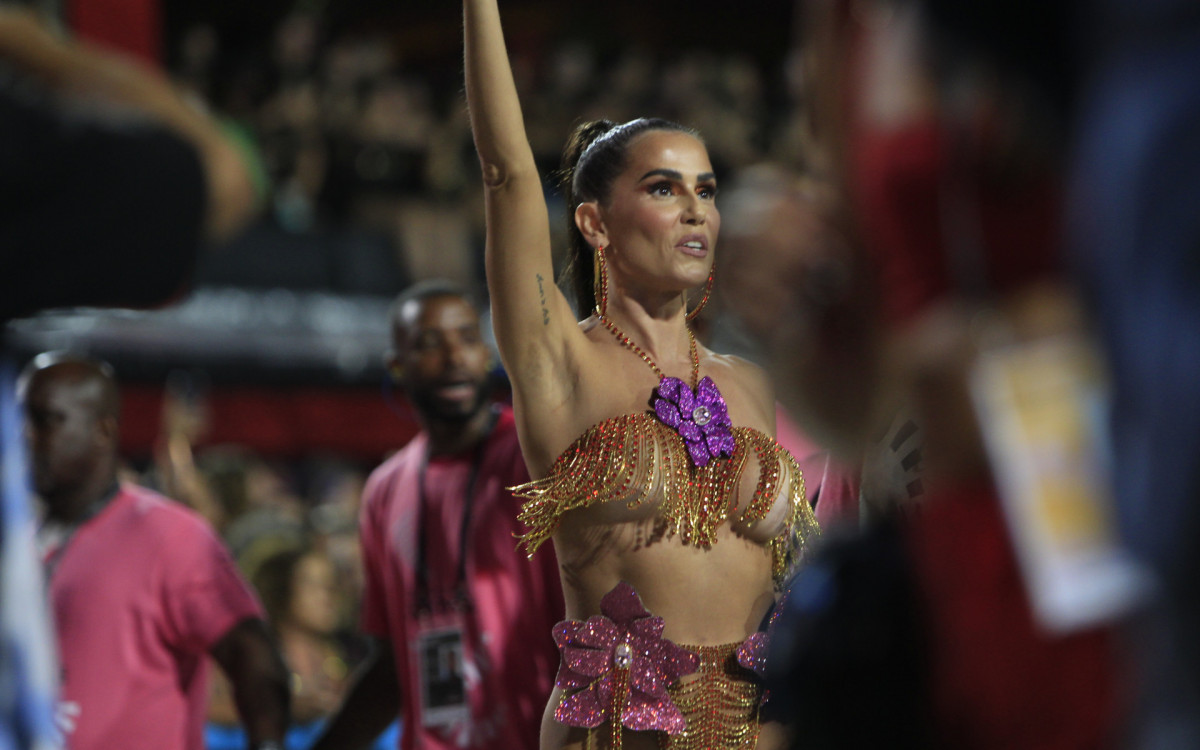 G.R.E.S  Academicos do Salgueiro desfila nesta primeira noite de desfile do Grupo Especial, neste domingo(19). Foto: Reginaldo Pimenta / Agencia O Dia