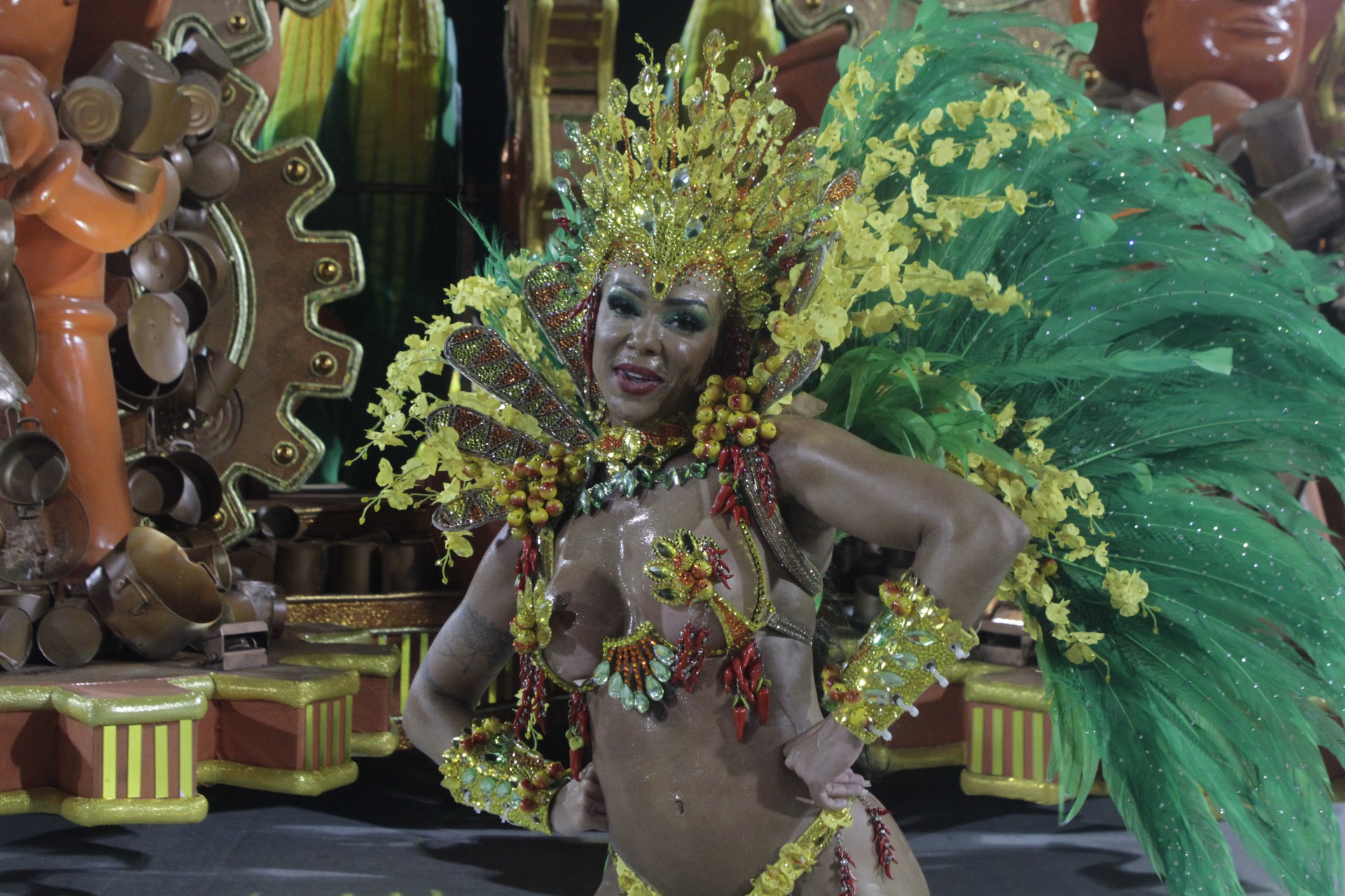 G.R.E.S Mocidade Independente de Padre Miguel desfila nesta primeira noite de desfile do Grupo Especial, neste domingo(19). Foto: Marcos Porto/Agencia O Dia - Marcos Porto/Agencia O Dia
