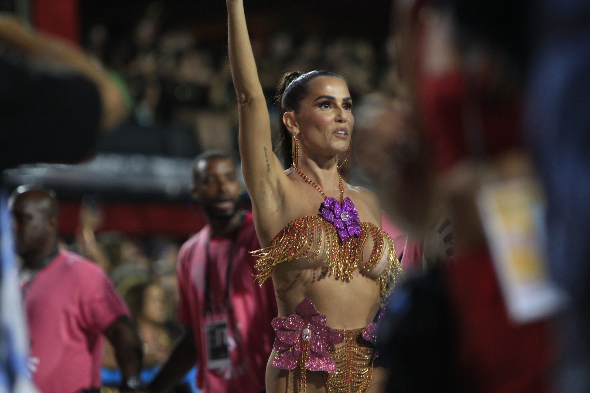 Salgueiro foi a quinta escola a desfilar neste primeiro dia do Especial - Reginaldo Pimenta / Agencia O Dia