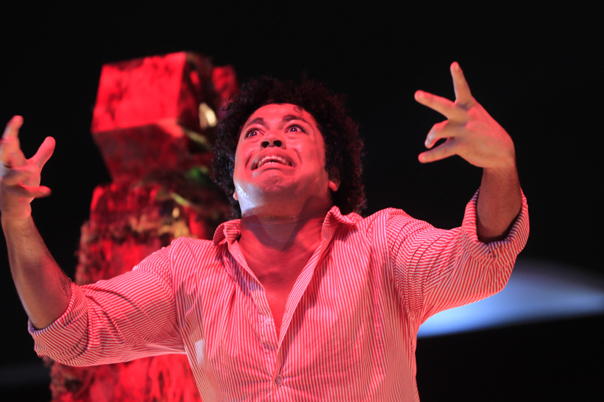 Salgueiro foi a quinta escola a desfilar neste primeiro dia do Especial - Reginaldo Pimenta / Agencia O Dia