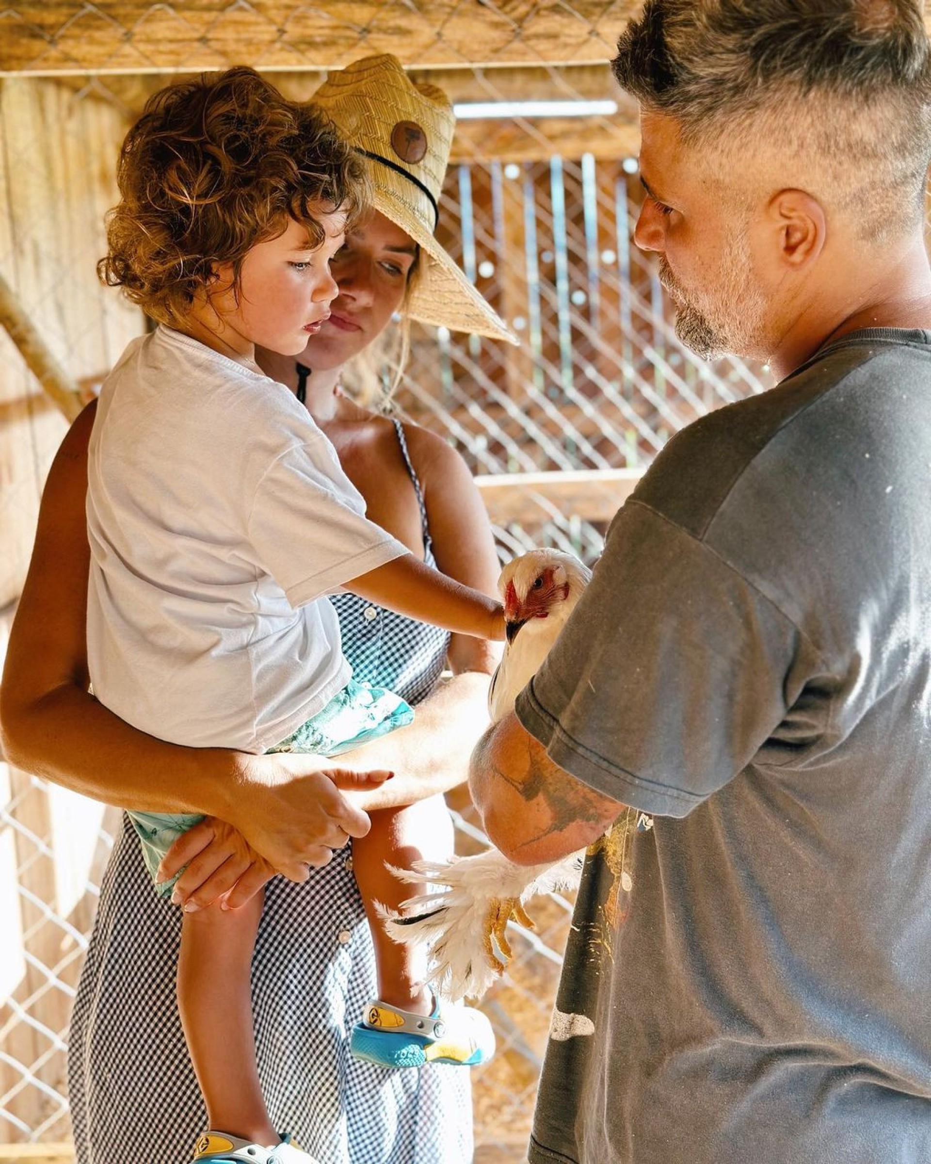 Giovanna Ewbank compartilha cliques de Bruno Gagliasso e Zyan no galinheiro - Reprodução Internet