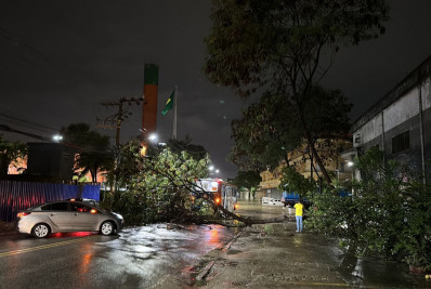 Temporal provoca estragos e transtornos na cidade do Rio
