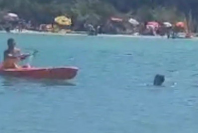 Vídeo registra momento dramático de resgate de banhistas em Cabo Frio