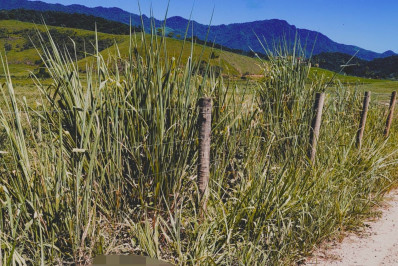 Mulher é presa por mandar matar homem suspeito de estuprar sua filha, de 11 anos