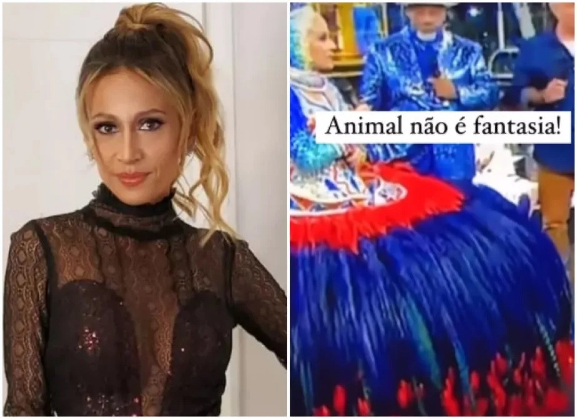 Luisa Mell reprova uso de penas de animais em desfiles de Carnaval - Reprodução / Instagram