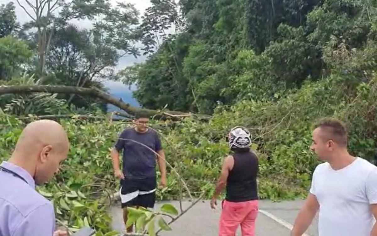 Queda de árvore interditou subida da Serra de Petrópolis, Petrópolis