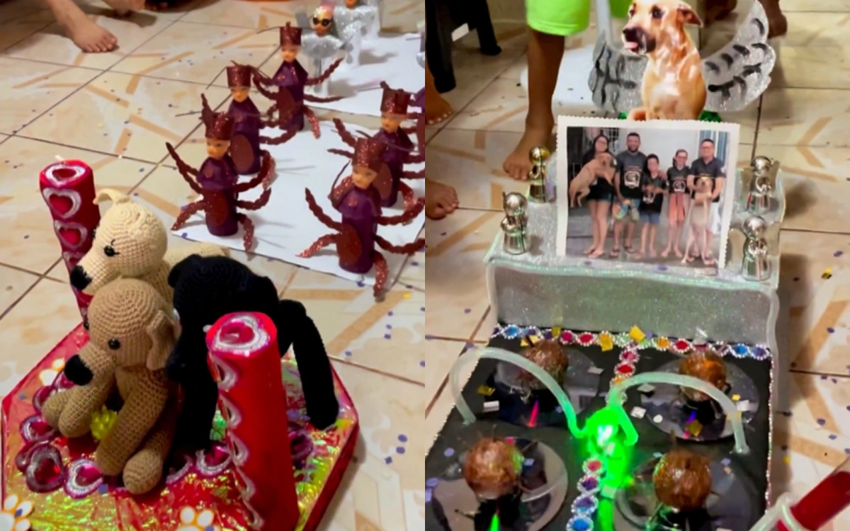 Família organiza desfile de Carnaval para homenagear a cachorra, com direito a samba-enredo e ala de carrapatos - Reprodução da internet