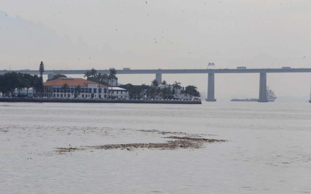 Baía de Guanabara acumula bastante lixo após o Carnaval - Reginaldo Pimenta / Agência O Dia
