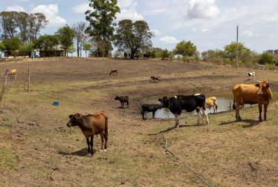 Governo vai liberar recursos para reduzir efeitos da estiagem no RS