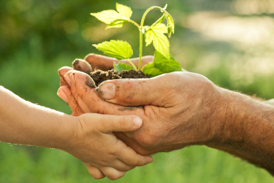 Teresópolis publica Programa Municipal de Educação Ambiental - ProMEA