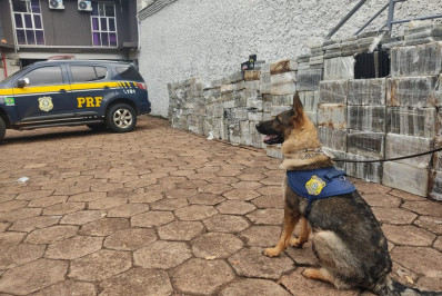 PRF realiza no Mato Grosso do Sul a maior apreensão única de cocaína da história da corporação