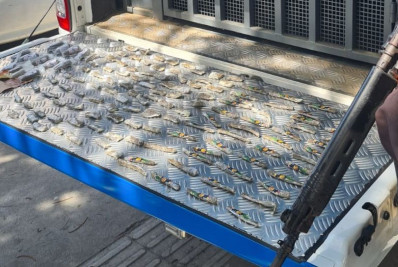 Três homens e um adolescente são detidos com drogas na Região dos Lagos