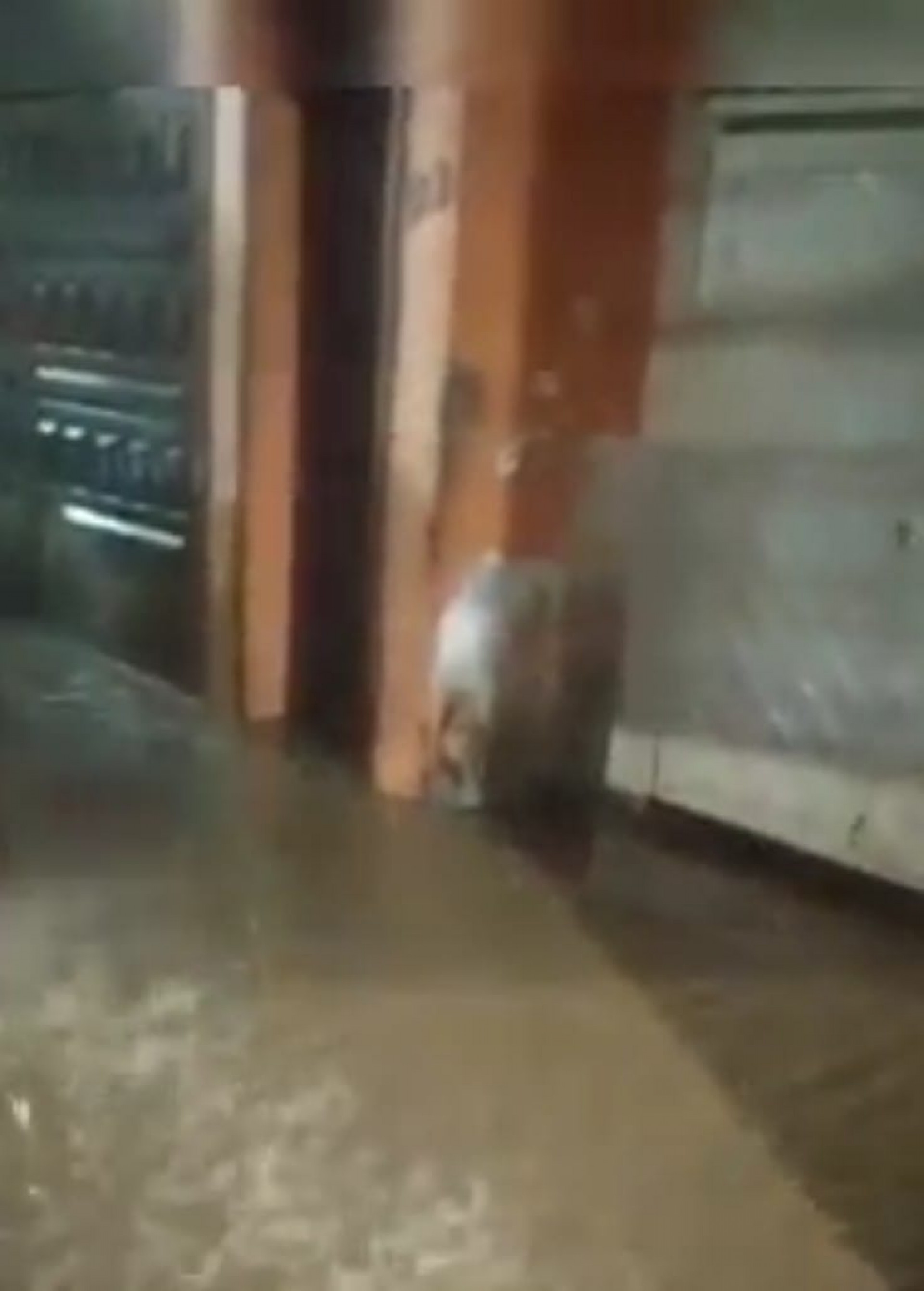 Alagamento bairro Gamboa do Bel&eacute;m, comerciantes preocupados com  o temporal. - Divulga&ccedil;&atilde;o/rede social