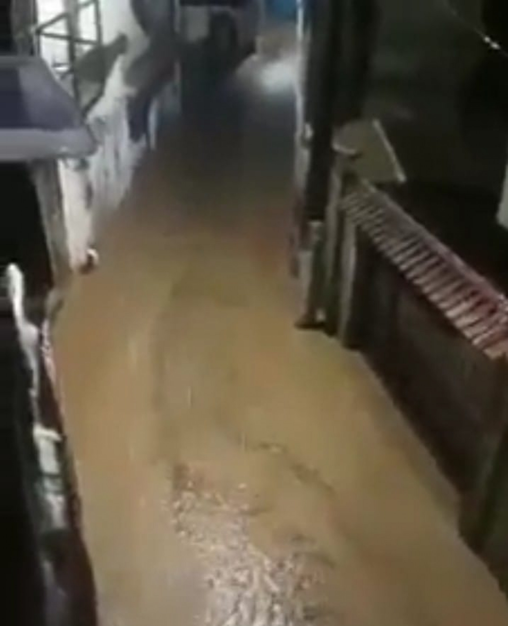 Alagamento nas ruas do bairro Praia Brava, onde houve rolamento de pedras interditando a Rio-Santos.