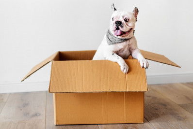 Tenha tudo o que o seu pet precisa com o Programe e Poupe