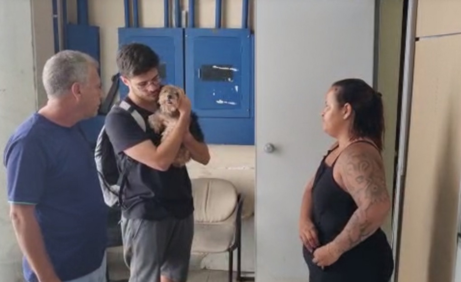 Cachorro Toby, furtado dentro de prédio em Copacabana, na Zona Sul do Rio, é devolvido para família - Divulgação