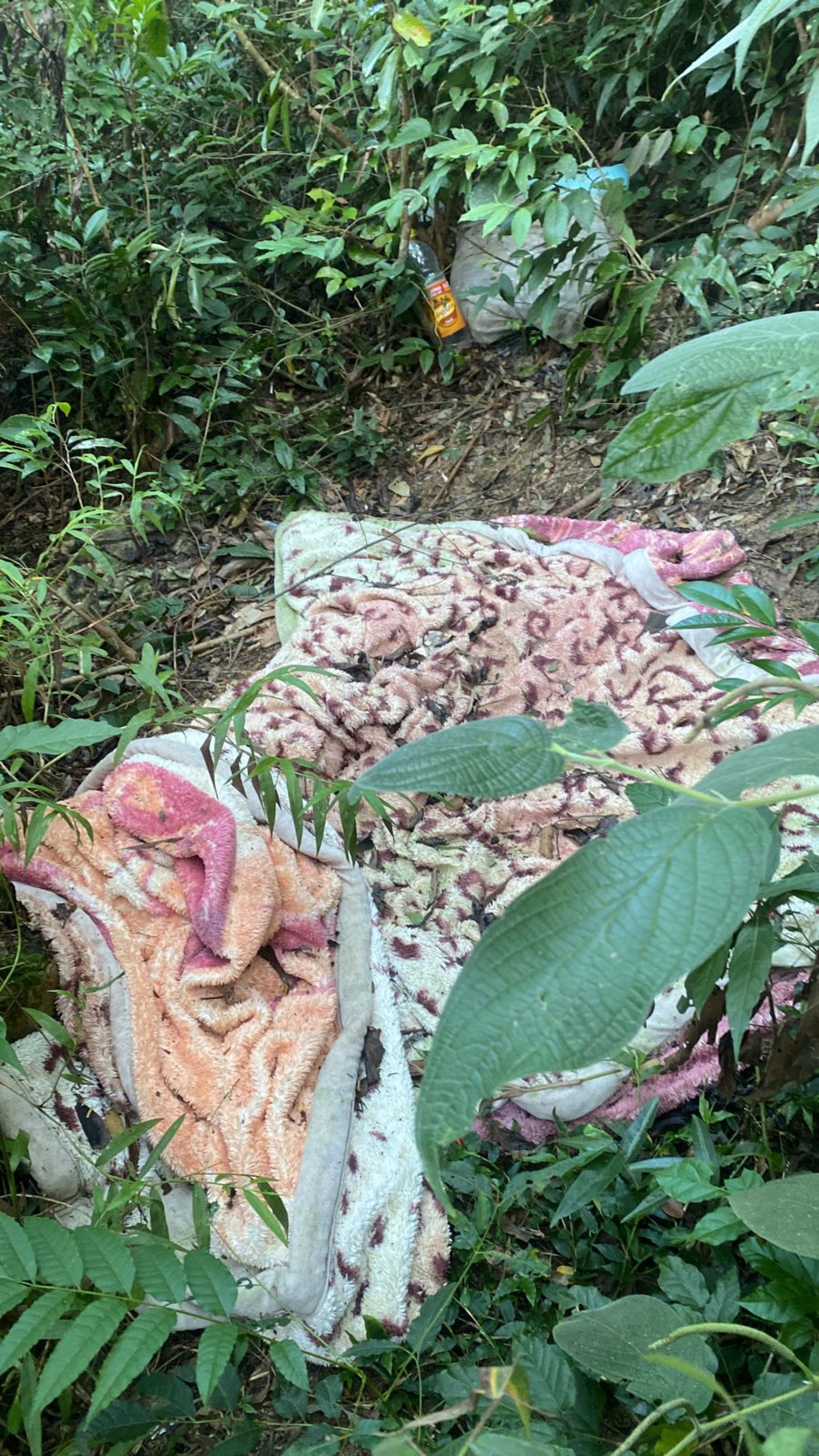 Material apreendido estava em um terreno baldio atrás da casa da namorada de Pedro