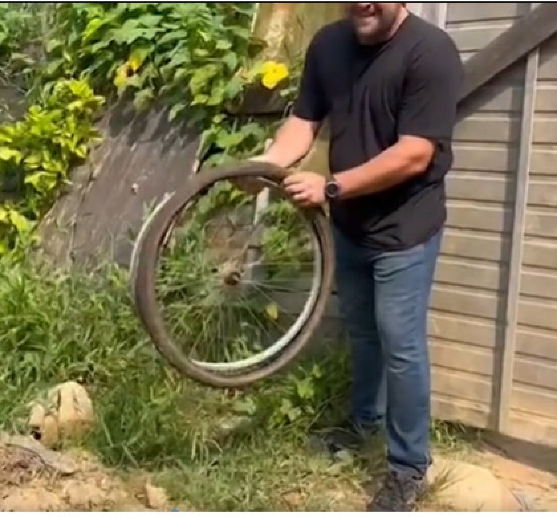 O aro da bicicleta usada na tentativa do homic&iacute;dio foi recuperada pelos policiais - Reprodu&ccedil;&atilde;o