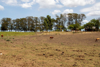 Cidades gaúchas vão receber mais R$ 701 mil para combater seca