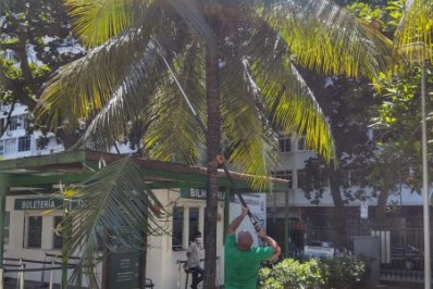 Baixo Copa  ganha Festival de Gastronomia democrático e sustentável