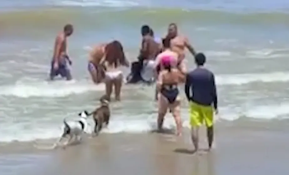 Em Pernambuco, jovem é atacada por tubarão e tem parte do braço amputado