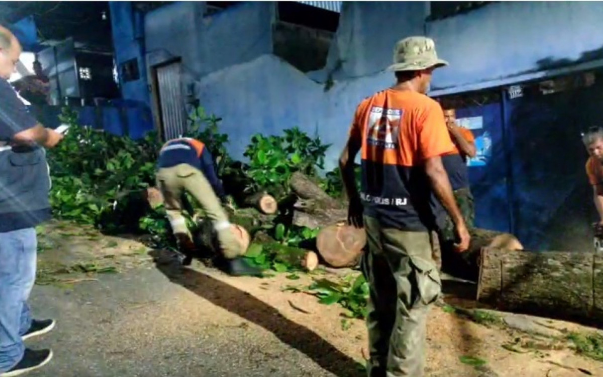 Motosserras foram utilizadas nos trabalhos de remo&ccedil;&atilde;o dos troncos de &aacute;rvores