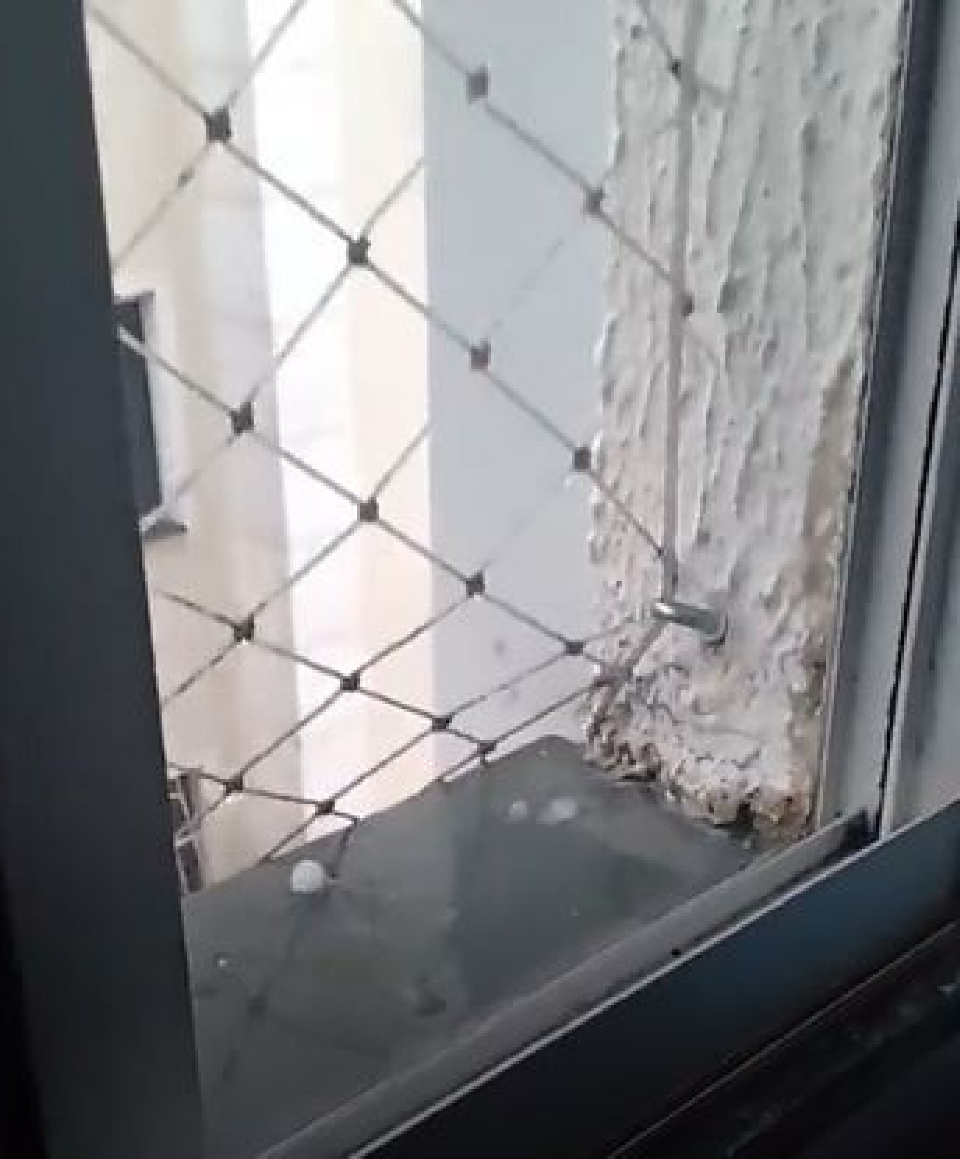 Moradores registraram chuva de granizo em Guadalupe