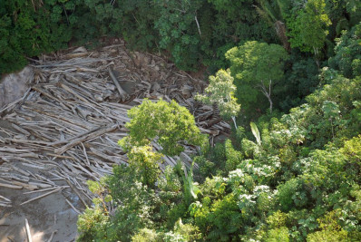 Amazônia e Cerrado batem recorde de alertas de desmatamento