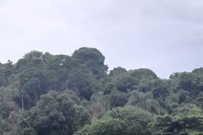 Empresários do turismo denunciam falta de infraestrutura no cais da praia de Araçatibinha, na Ilha Grande