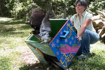 Glória Pires tem cena roubada... 