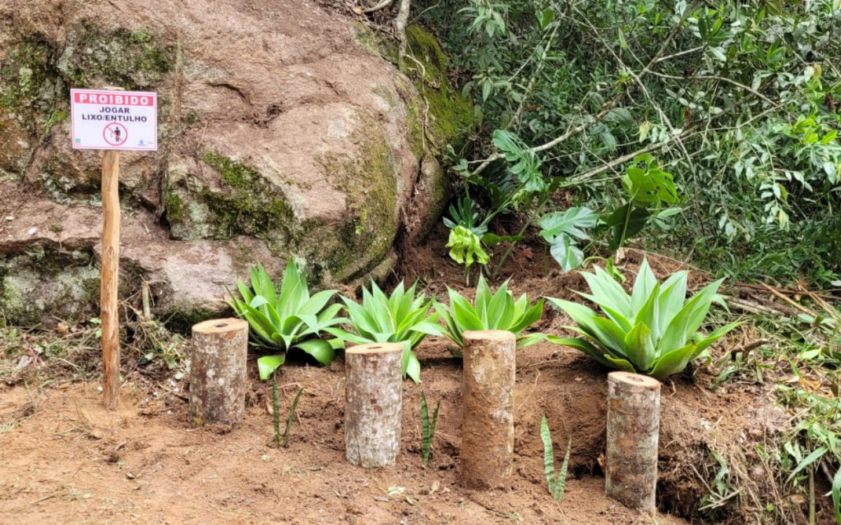 Ap&oacute;s a limpeza, placas foram colocadas junto com mudas de plantas