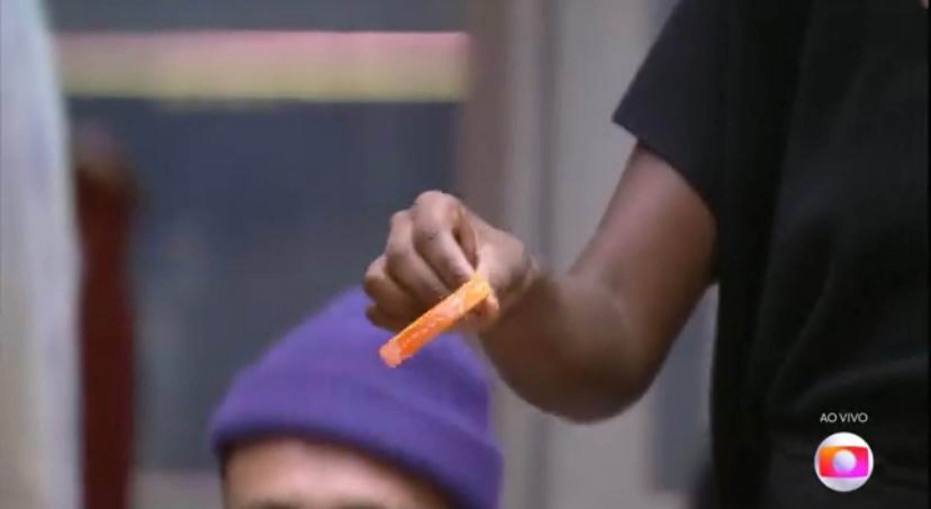 Tadeu Schmidt veta Sarah Aline do VIP após decisão de Ricardo e MC Guimê - Reprodução / TV Globo