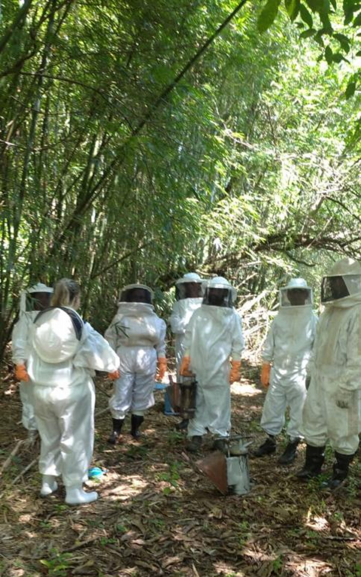 Prefeitura de Mag&eacute; finaliza curso de introdu&ccedil;&atilde;o &agrave; apicultura