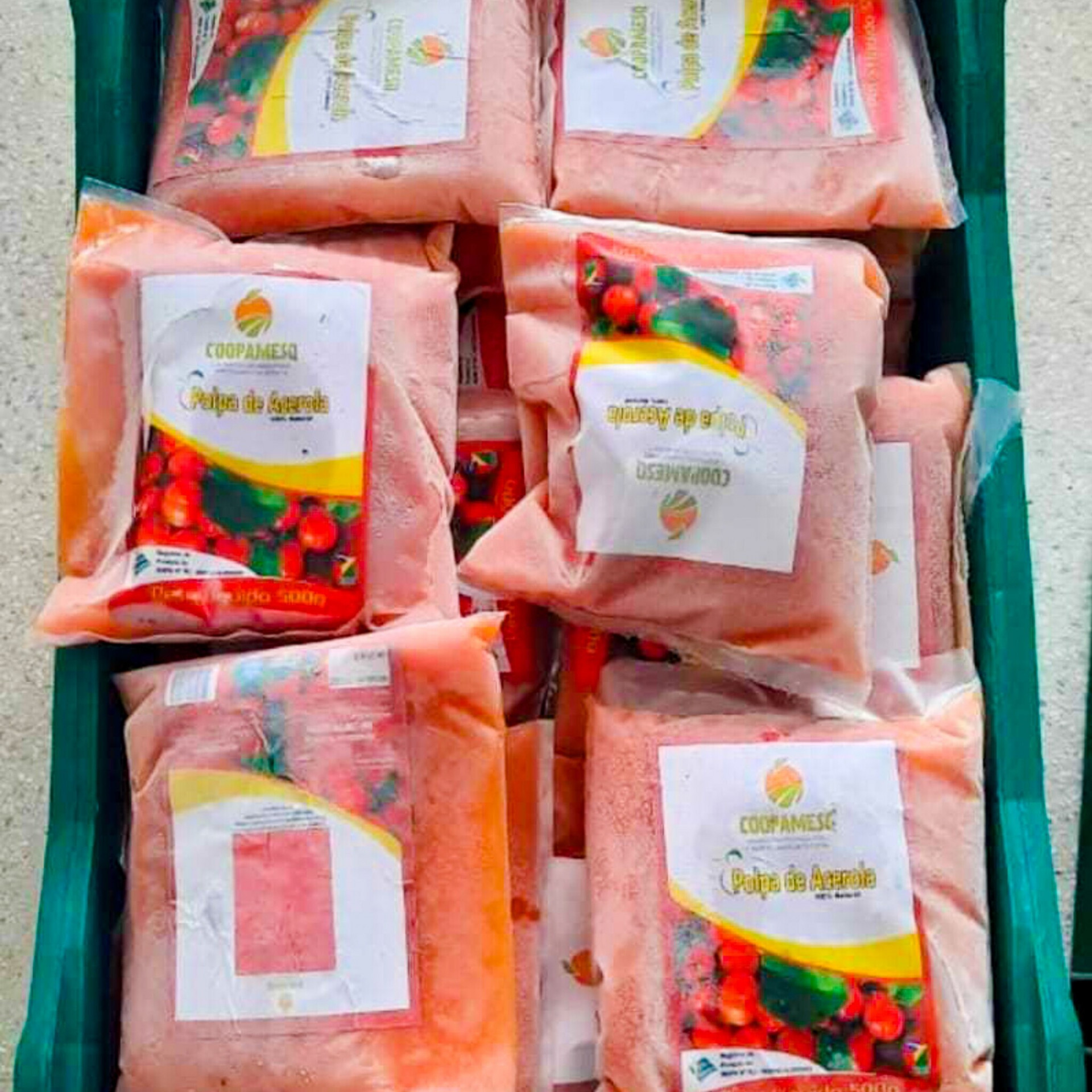 Foram entregues polpas de frutas nas escolas e creches da rede p&uacute;blica municipal