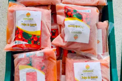 Instituições da rede pública de Mesquita recebem polpas de frutas da Agroindústria Familiar