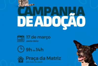 Campanha de adoção será realizada nesta sexta (17) na Praça da Matriz