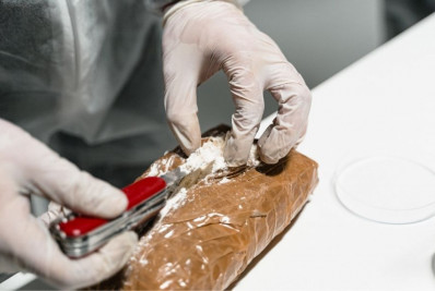 Produção mundial de cocaína dispara e atinge níveis recordes, aponta ONU