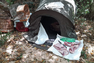 Inea deflagra operação contra caça ilegal em Iguaba Grande