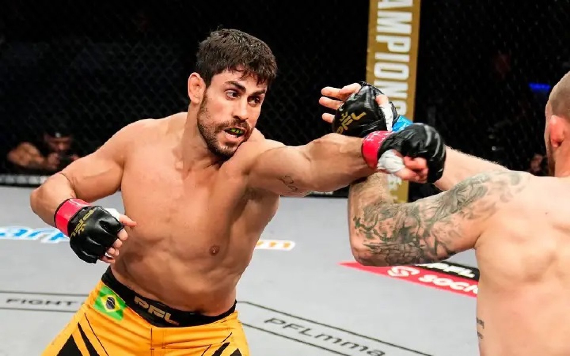 Diagnosticado com Síndrome de Tourette, Antônio Cara de Sapato faz uso de CBD em tratamento - (Foto: PFL MMA)
