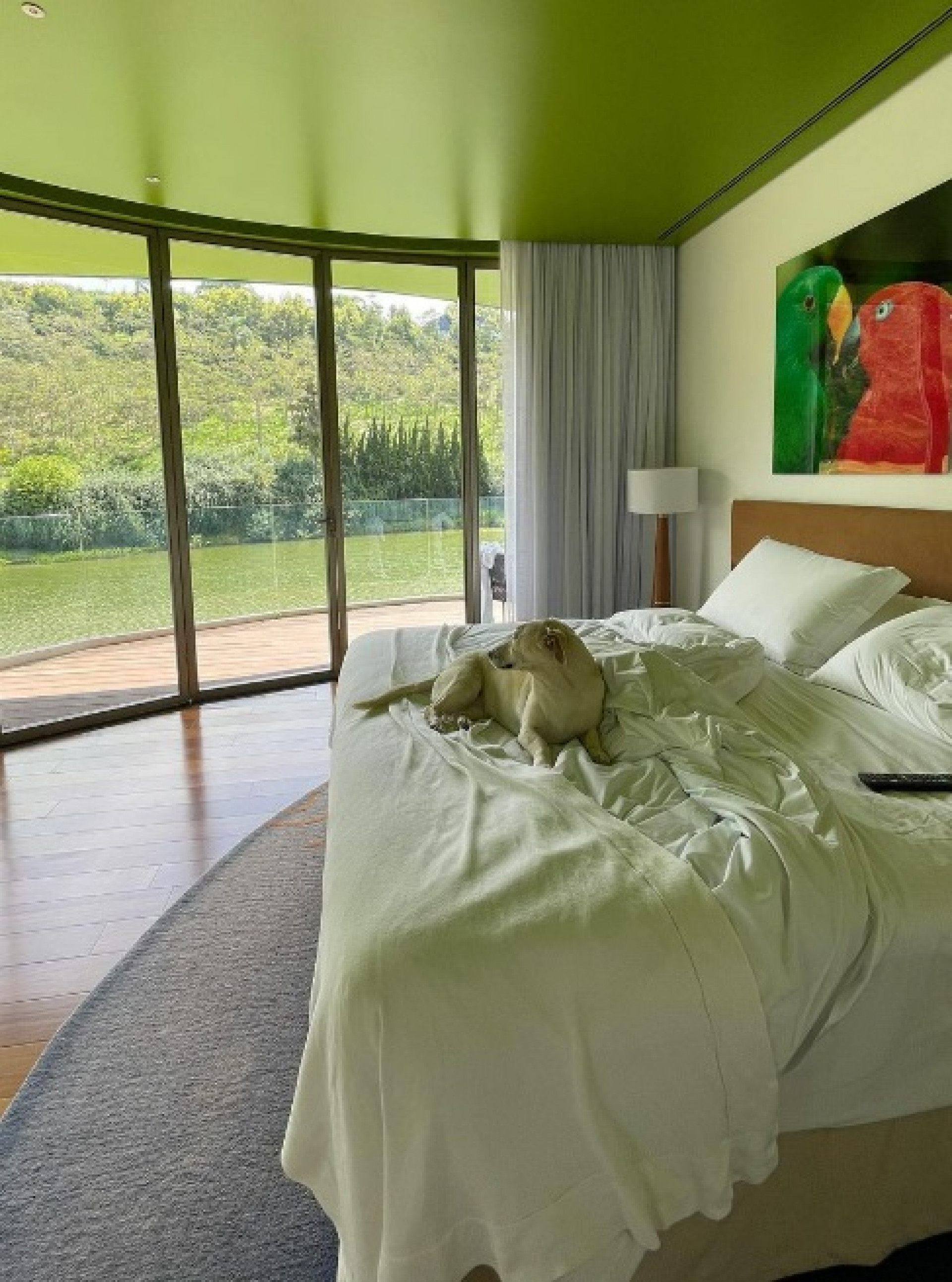 Whindersson Nunes curte dias de descanso em hotel com sua cachorrinha - Reprodução do Instagram