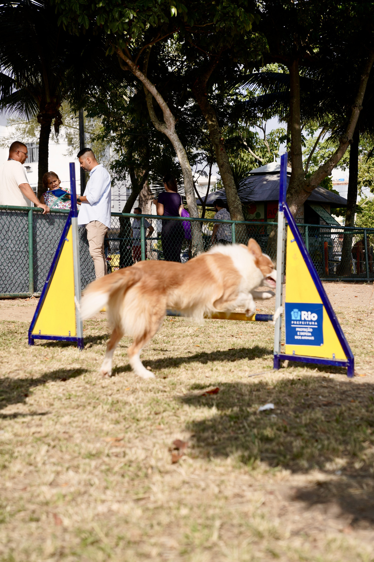 Prefeitura lan&ccedil;a na Ilha do Governador o terceiro n&uacute;cleo do programa Ac&atilde;odemia Carioca - Rafael Catarcione/Prefeitura do Rio