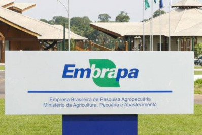 Embrapa promove orientações sobre uso eficiente de fertilizantes