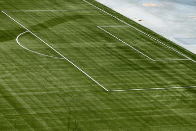 Botafogo revela imagens do gramado do Nilton Santos já com as marcações; confira