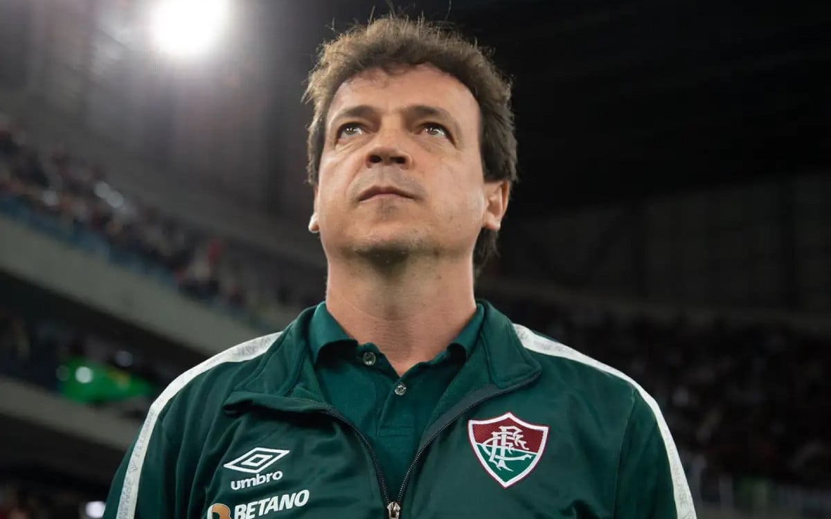 Fernando Diniz irá escrever um livro em breve  - Marcelo Gonçalves / Fluminense