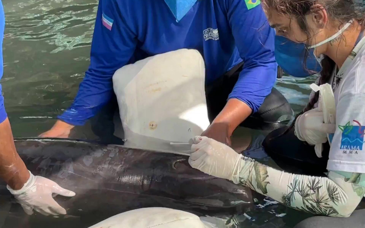 Tereza sendo cuidada no centro de reabilita&ccedil;&atilde;o
