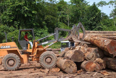 AGU libera cobrança de multas do Ibama barradas pelo governo Bolsonaro