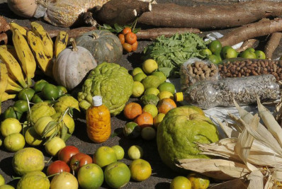 Cerca de 20% dos moradores do campo passam fome no país, diz pesquisa