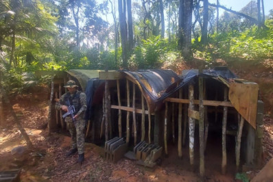 Polícia descobre fábrica clandestina de Carvão em Paraty.