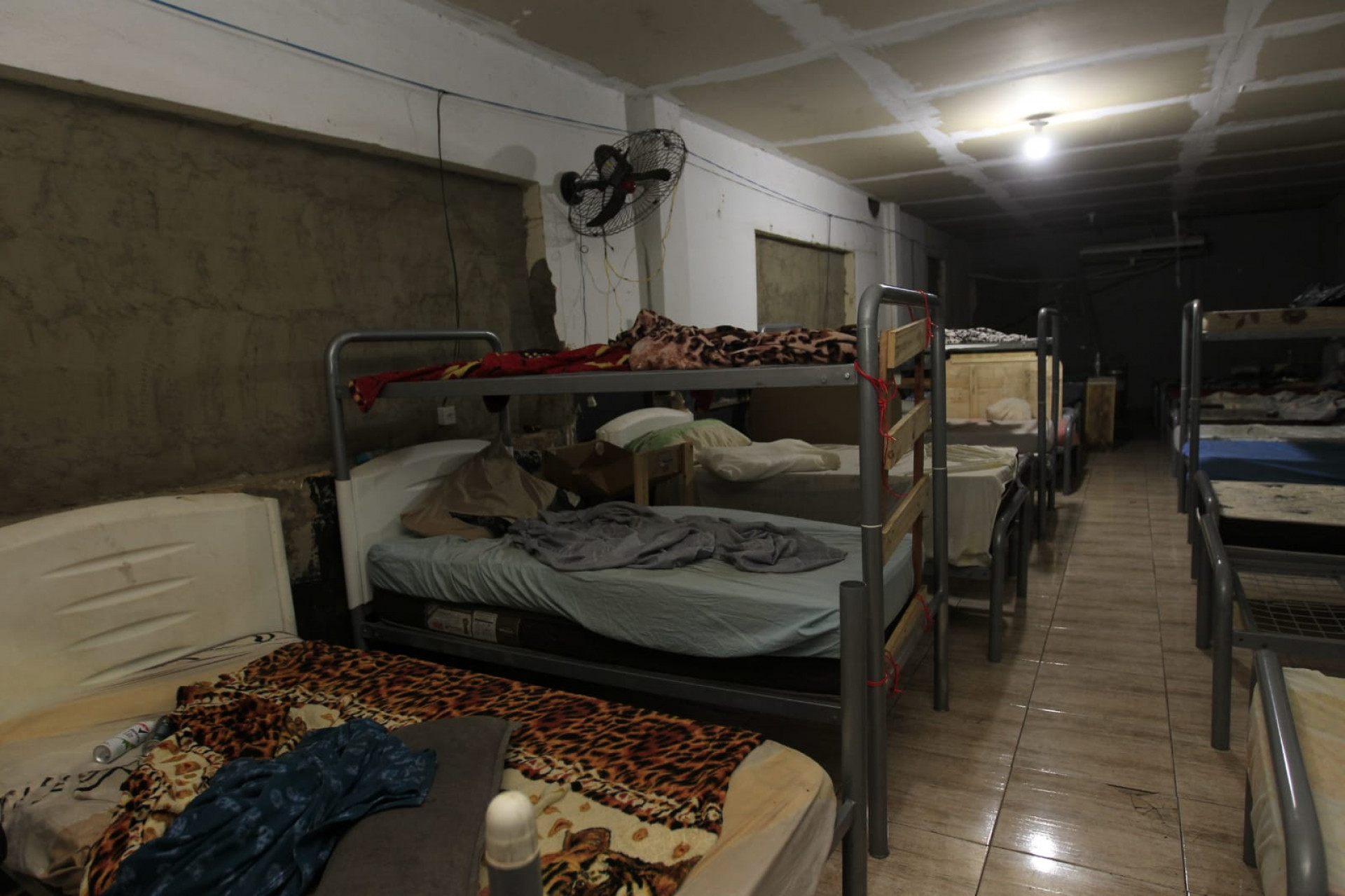 Alojamento estava em condições insalubres e era divido com aproximadamente 11 cães - Reginaldo Pimenta/Agência O Dia